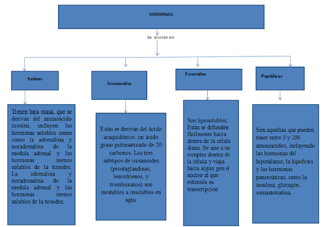caracteristicas fisicas de la vitamina k