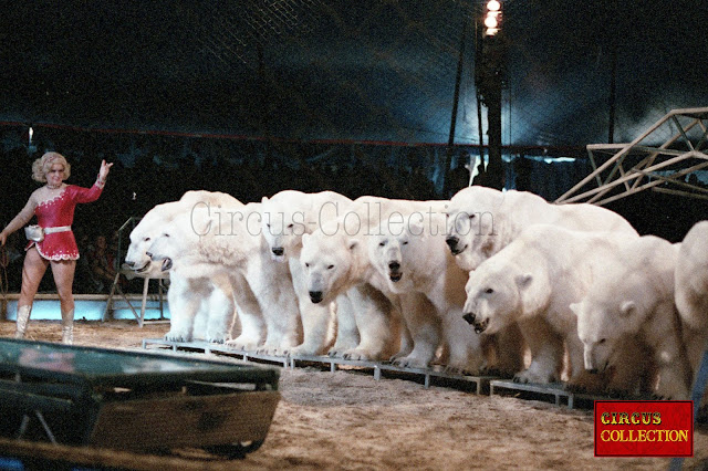 Les 9 ours polaire du Ursula Bottcher 