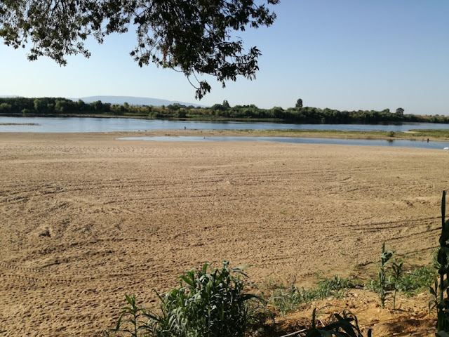 Areal do Rio Tejo na Chamusca Areal do Rio Tejo na Chamusca