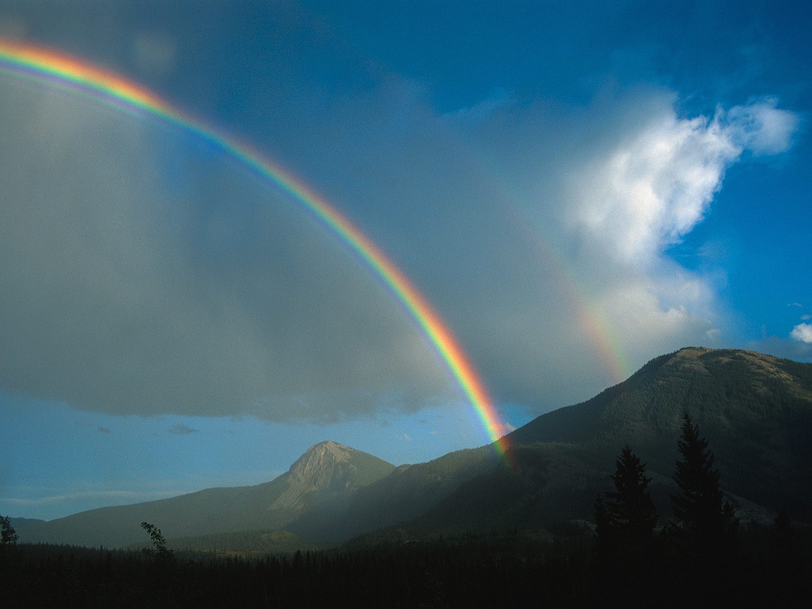 kootenay-rainbow-wallpapers_11110_1600x1200.jpg