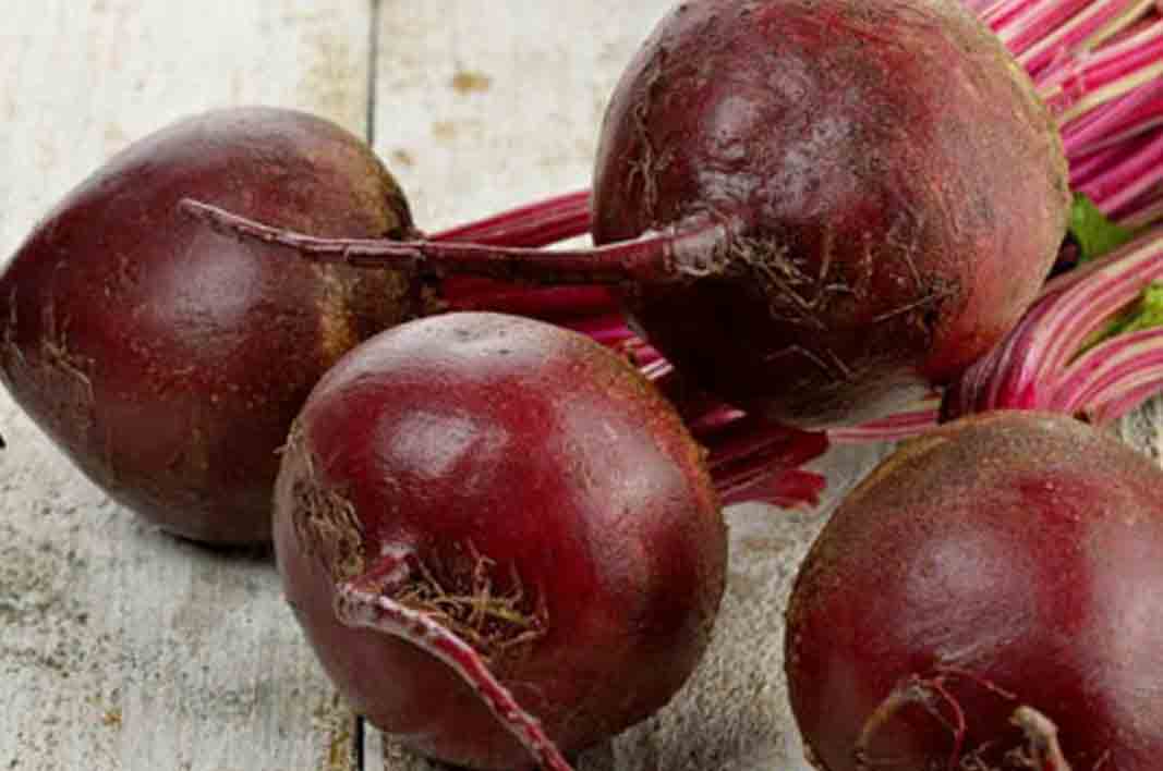 Hell Yeah,,Benefits of Beet For Lung Disease mrsmps
