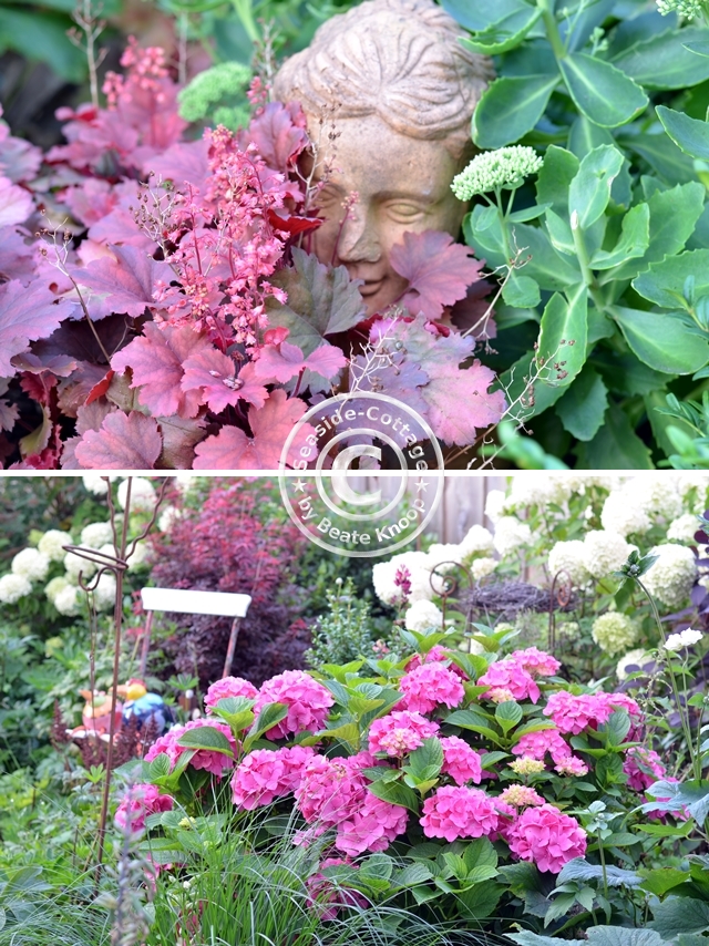 Blühender Garten im Hinterhof Wie aus einem wilden Hinterhof ein kleiner Garten wurde