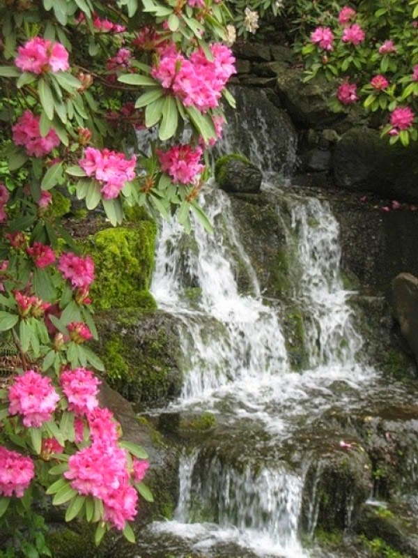 A relaxing garden and backyard waterfalls