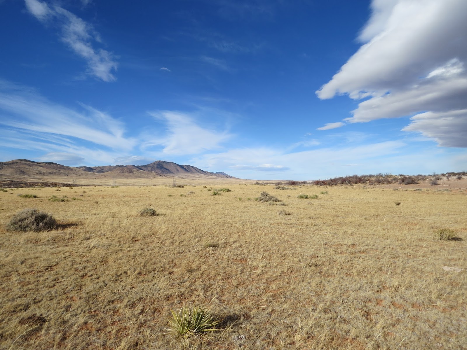 Have Book, Will Travel Southeast Wyoming Landscape