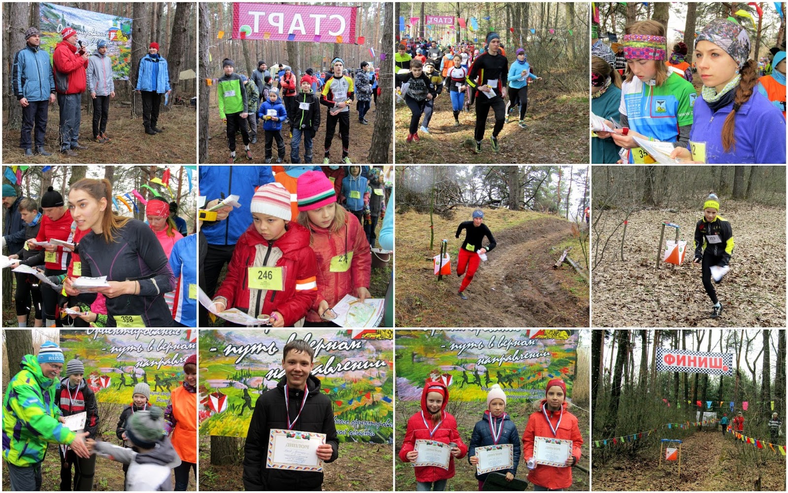 соревнования по ориентированию. оборудование для спортивного ориентирования. лемболово карта ориентирование. форма для спортивного ориентирования. спортивное ориентирование в детском лагере.