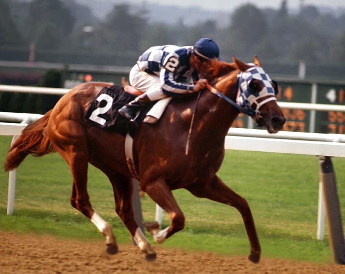 horse racing south africa