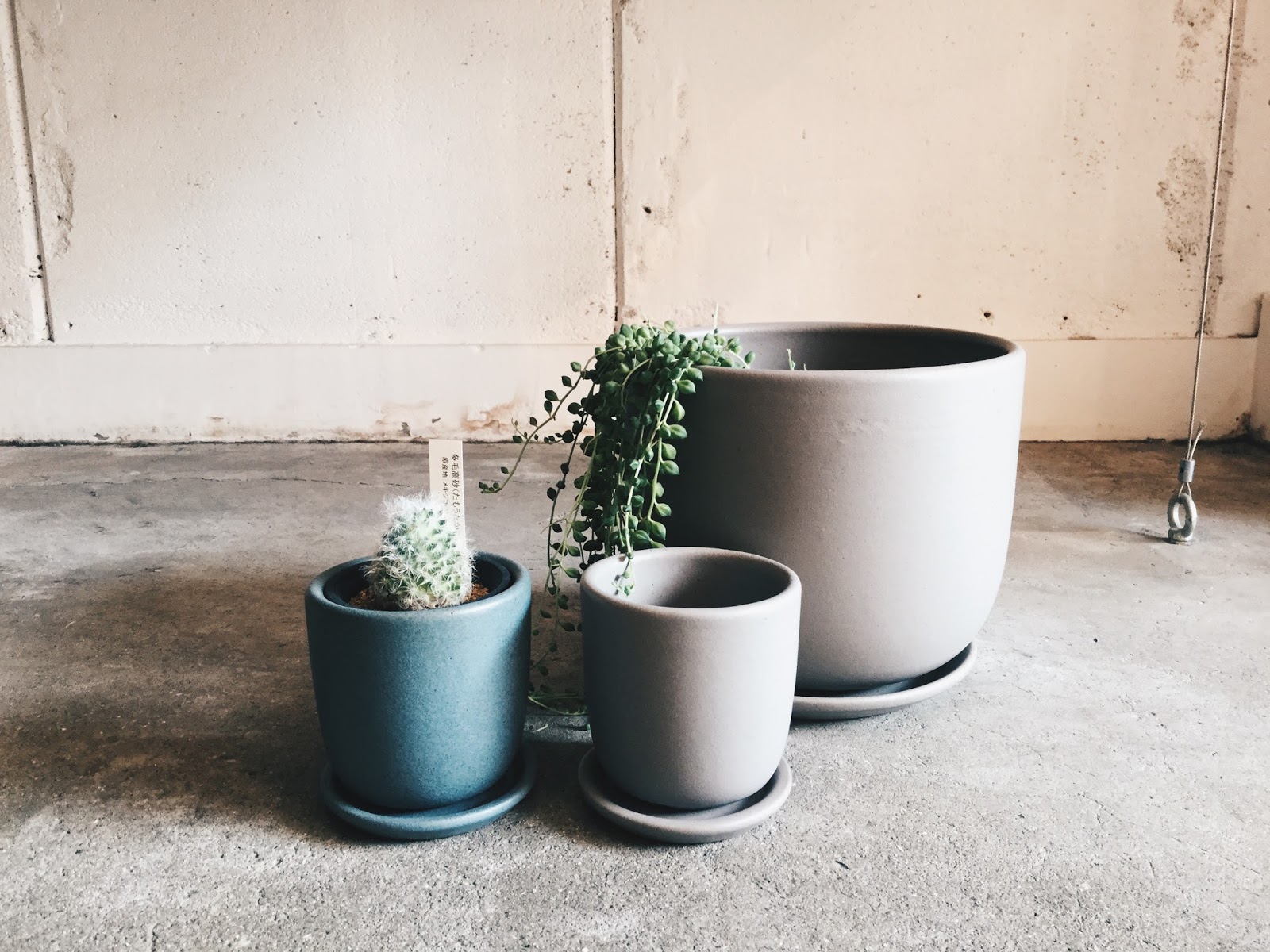 not wonder store SUEKI CERAMICS & SUEKI YARD 入荷