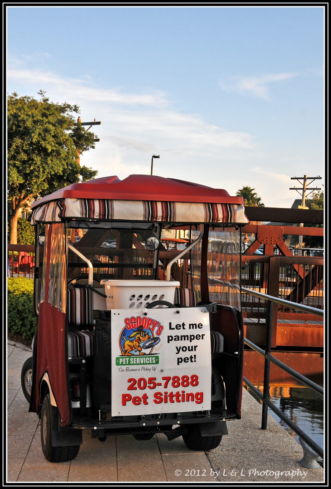 The Villages (Florida) Photos Pet Sitting