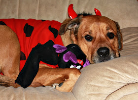 mad cow devil dog costume - turtlesandtails.blogspot.com