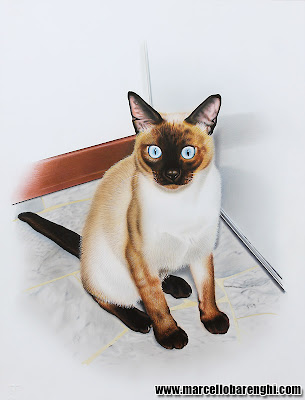 Trudi my traditional Siamese cat drawing illustration airbrush colored pencils