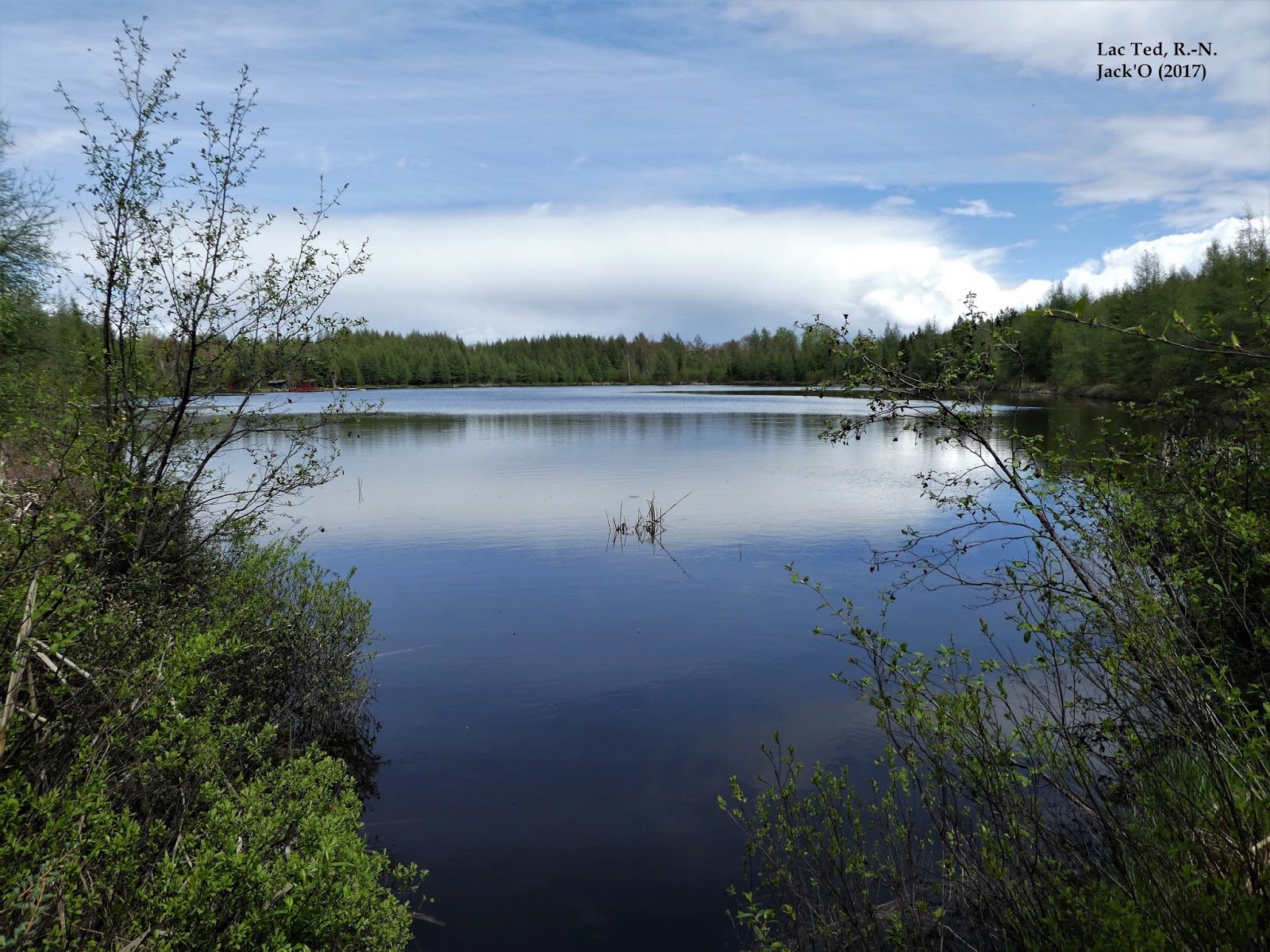L'OEIL AU VERT LAC TED, ROUYNNORANDA. 31 mai 2017