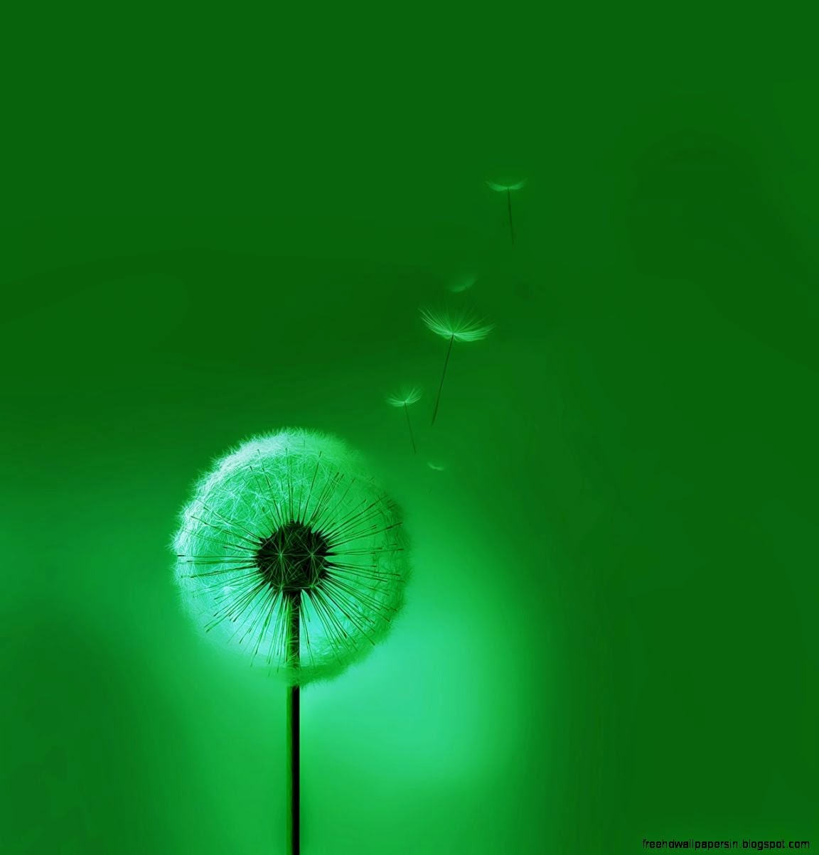 Cute Phone Wallpaper  Cool HD Wallpapers