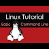 Linux Tutorial : Basic Command Line Skills on Linux Part III (3)