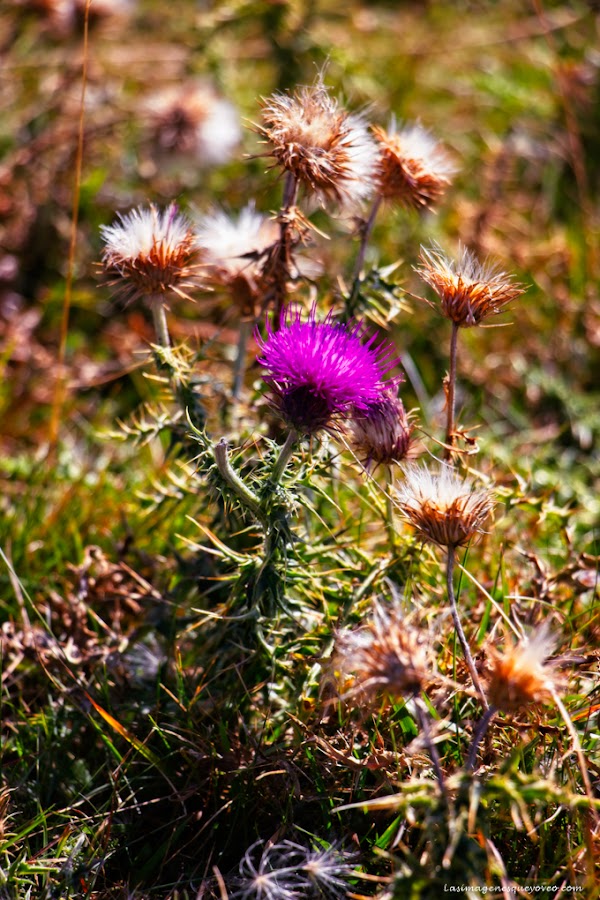 Asómate a las grandiosas vistas desde los Miradores del Parque Nacional de Ordesa y Monte Perdido
