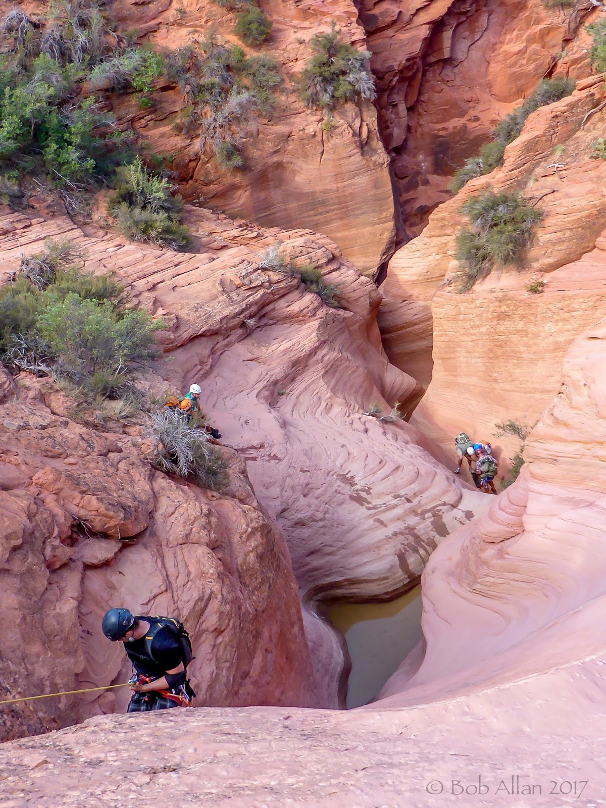 Canyon Canyon