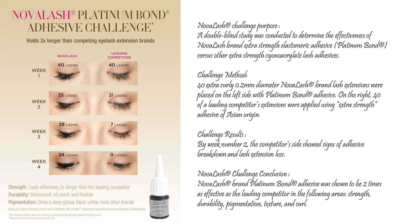 new lashes from everlash lash expert roosvansia new lashes from everlash lash expert roosvansia