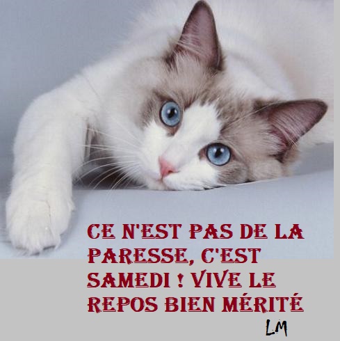 Jolies Citations Mes Dernieres Volontes