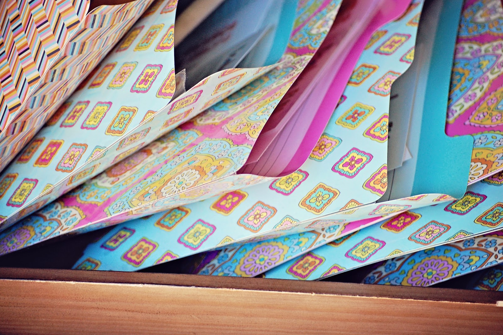 A Feathered Nest: All Kinds of Fun