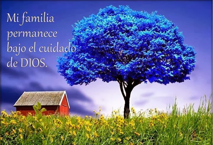 Imagenes Y Reflexiones Cristianas Mi Familia Permanece Bajo El