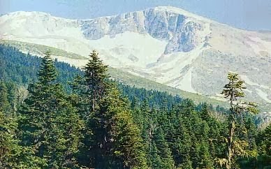 جبل أولداغ ، السياحة الشتوية في تركيا