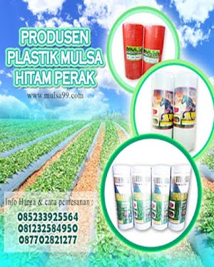 Mulsa Plastik Mulsa Plastik