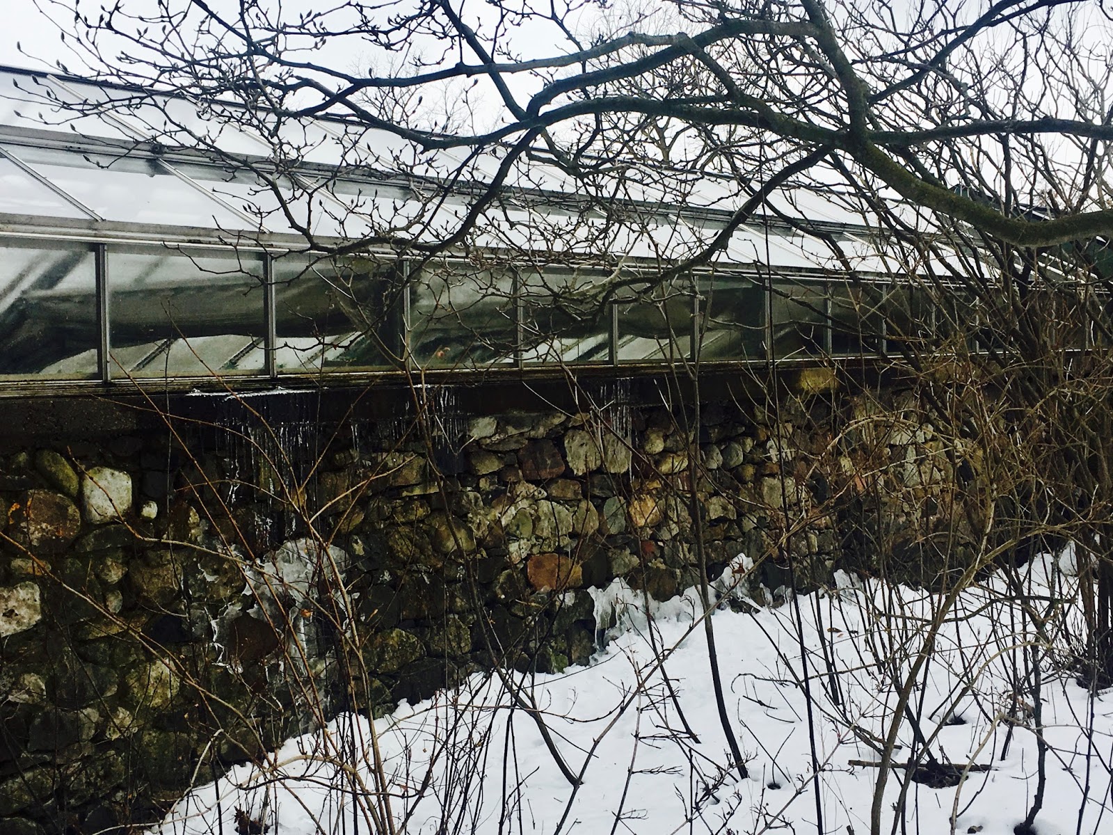 Mop Philosophy Winter Gardens at Langdon Hall