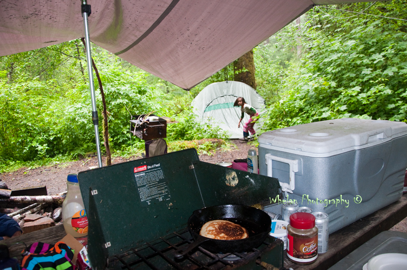 Walks with Moss West Fork Humptulips and Camping Nearby