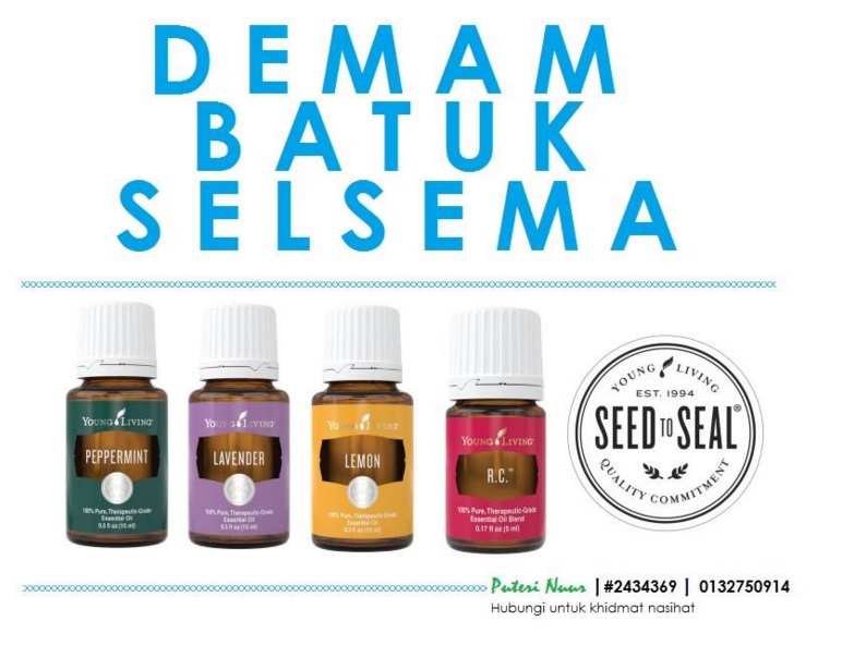 the story of PUTERISM Kenapa Saya Menjadi Independent Distributor