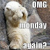 It's definitely a Monday!