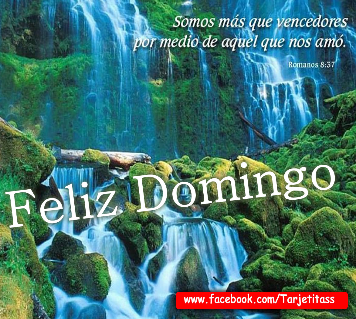 Las 98 Mejores Imagenes De Feliz Domingo En 2019 Feliz