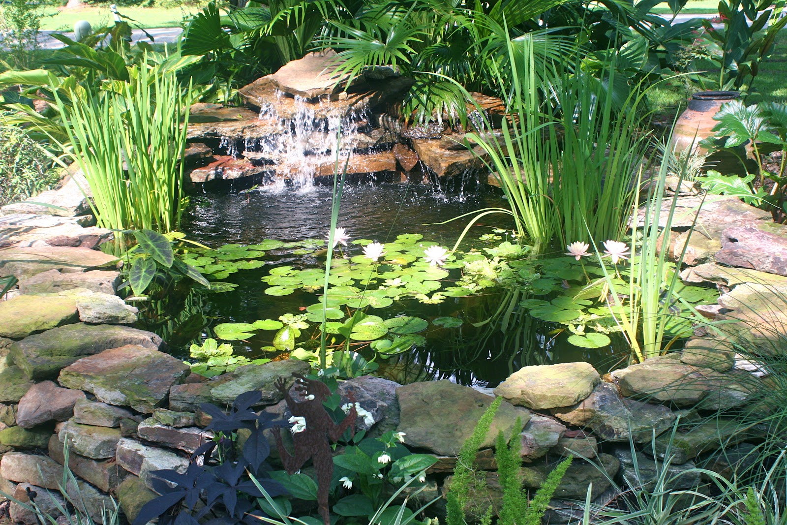 From the Pondlady's Pad how to build an above ground pond.