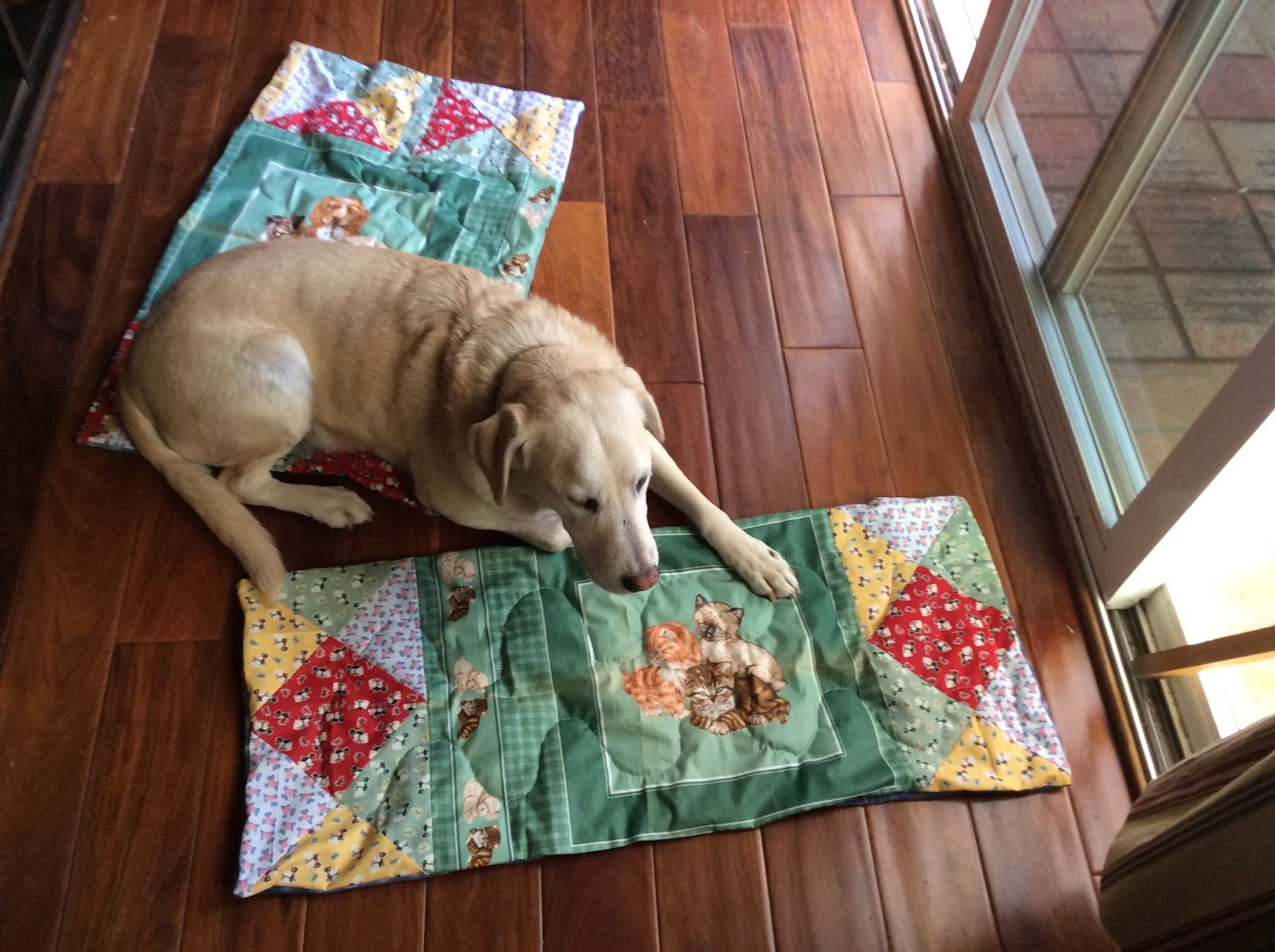 Polka Dots and Butterflies Shelter Quilts