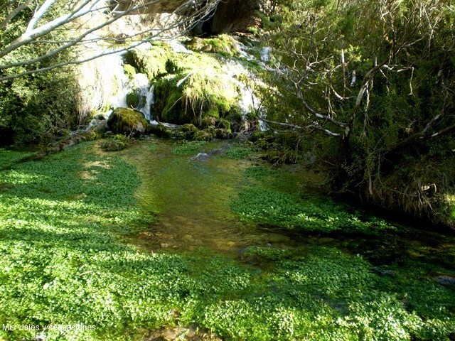 Nacimiento del río Cuervo, Cuenca