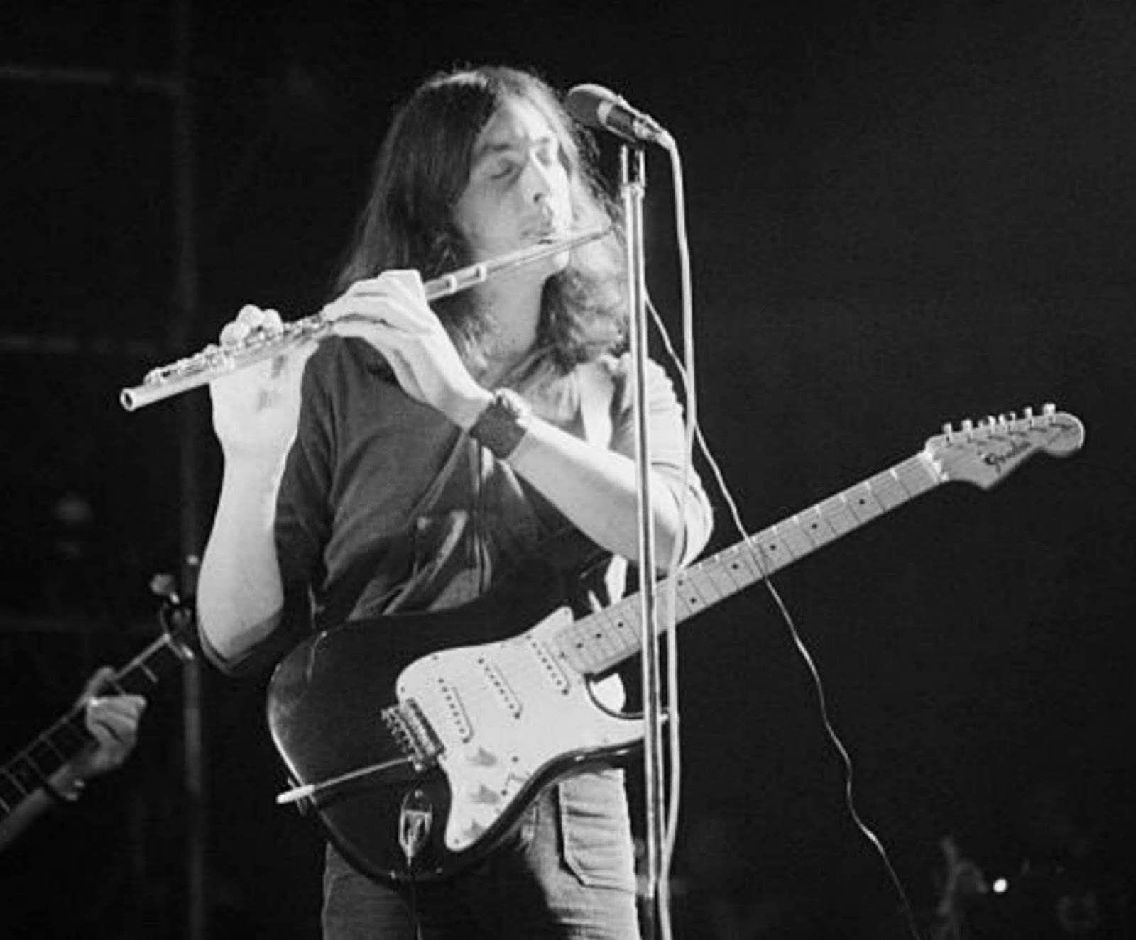 Forestdweller Andrew Latimer