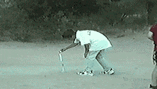 melhor-gif-ultimos-tempos.gif