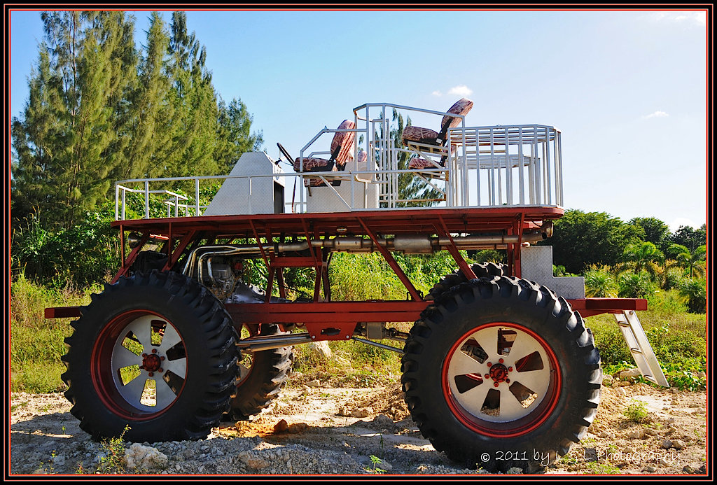 Images The Art of Photography Swamp Buggy