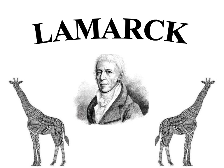 As Ideias De Lamarck - Só Biologia