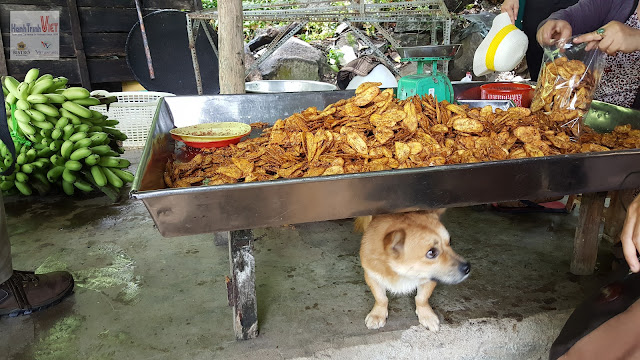 Tham quan Núi Chứa Chan - Gia Lào