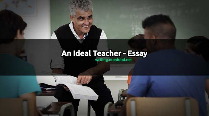 Ideal teacher essay