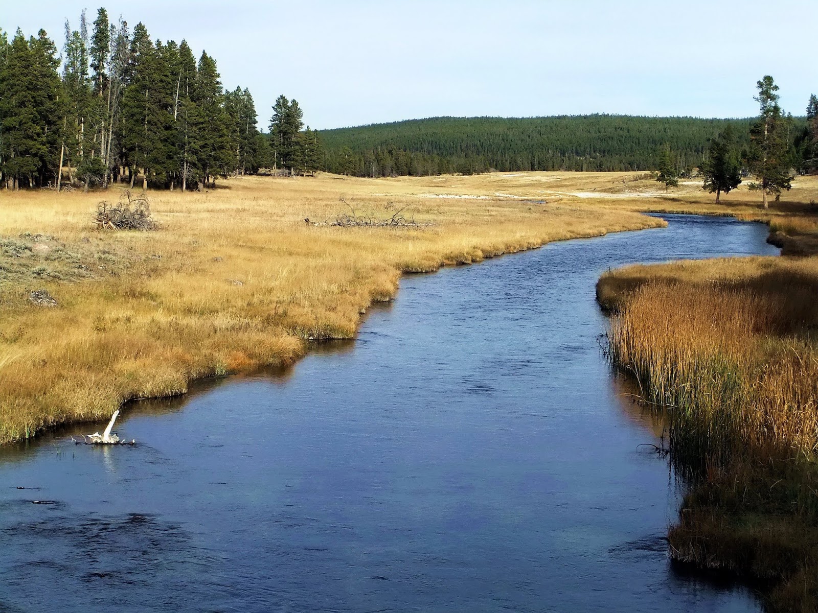 Focusing On Travel Yellowstone Fountain Flat Drive & Beyond