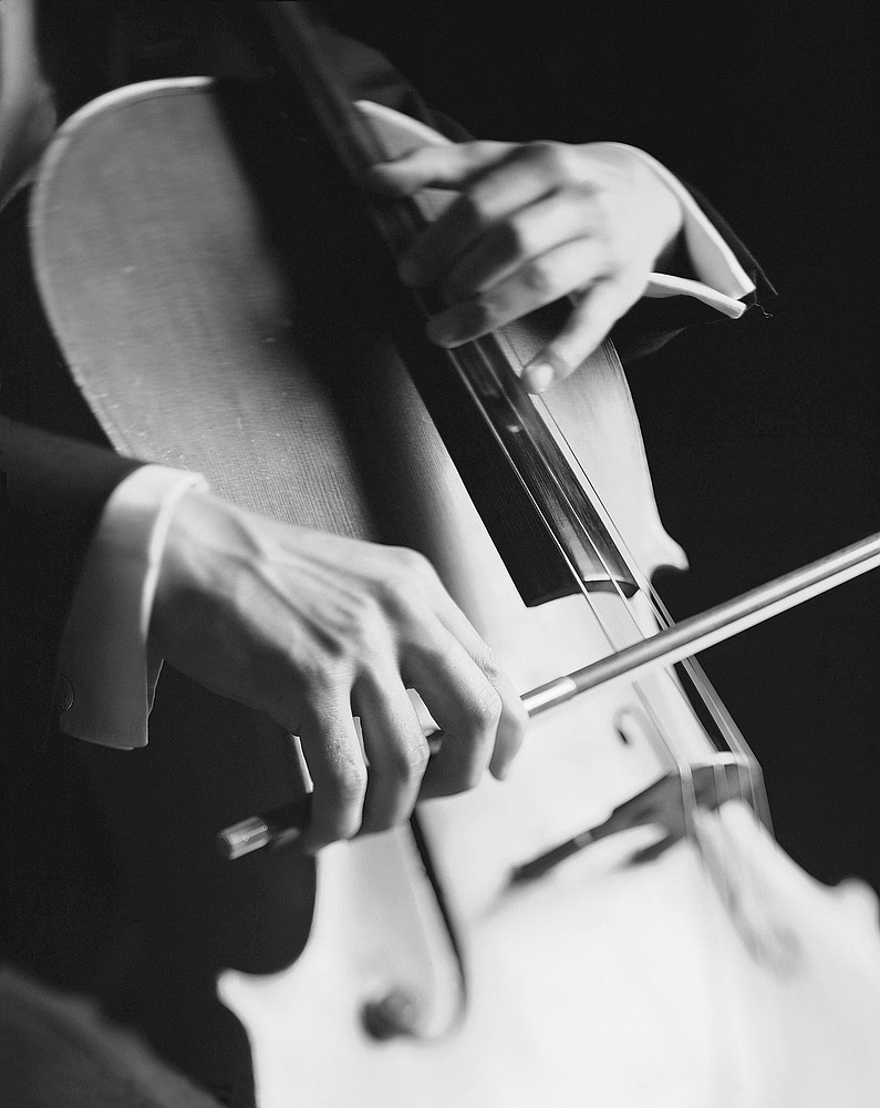 SuJESStions Online Help For People Learning The Cello At Home 1