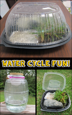Hands-on Water Cycle Fun! Create a mini water cycle using a rotisserie chicken container and demonstrate cloud formation in a jar. 