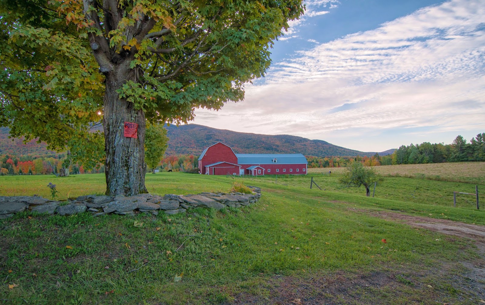 Carol's View Of New England Farm Scene Waterbury Center VT