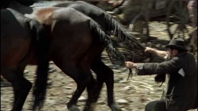 Le Roman D Un Voleur De Chevaux Ch'io mi scordi di te...: Romance of a Horsethief (Le Roman d'un voleur