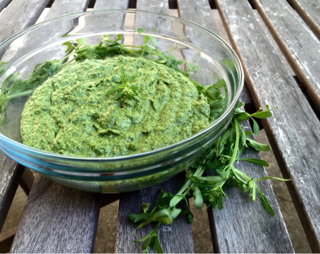 The Foraged Foodie Vegetarian garlicky cleavers walnut pesto. Keto