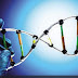 Aprueban modificación genética de embriones humanos 