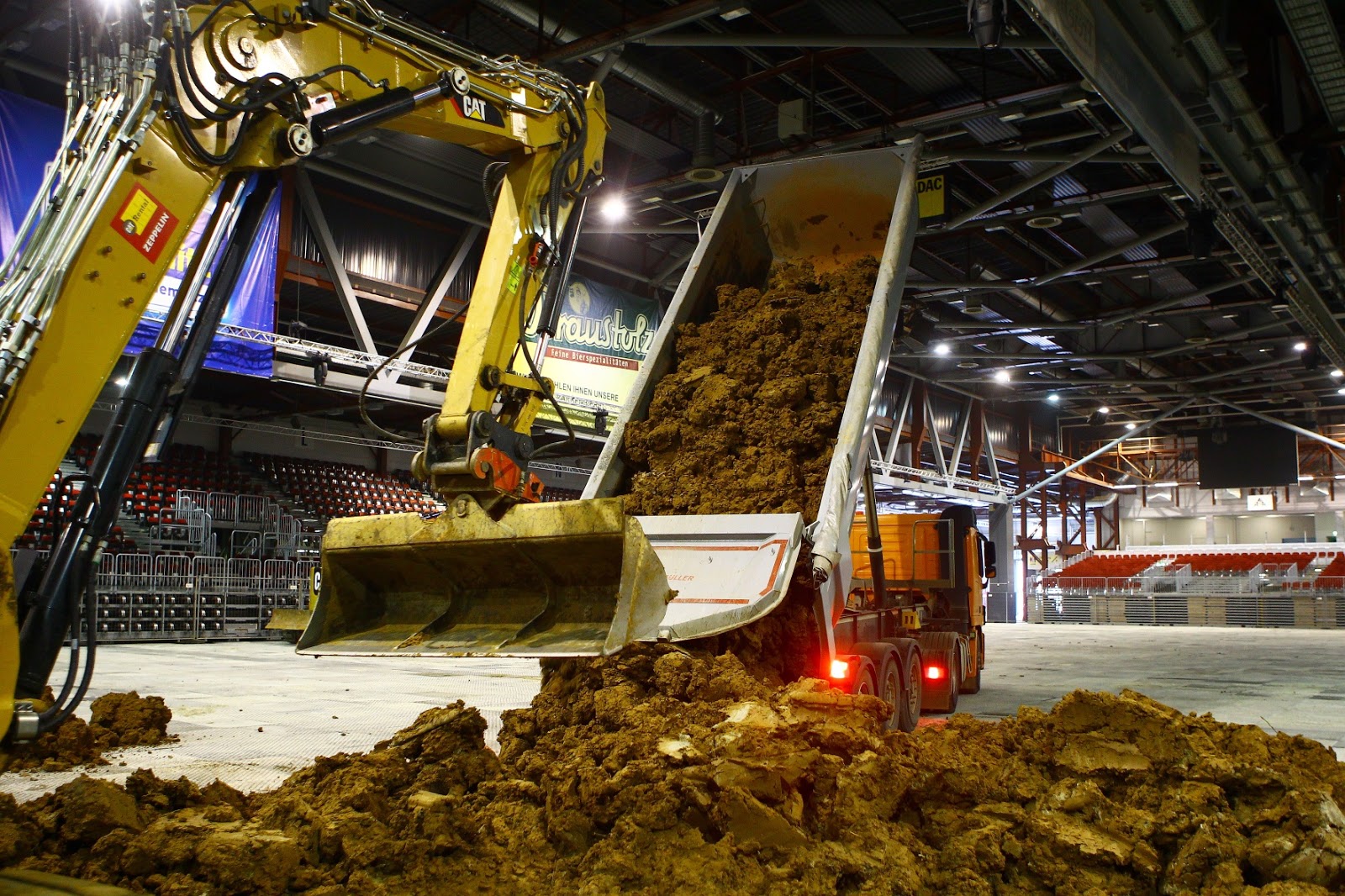 Zwergenohr Chemnitz Erzgebirge November 2016