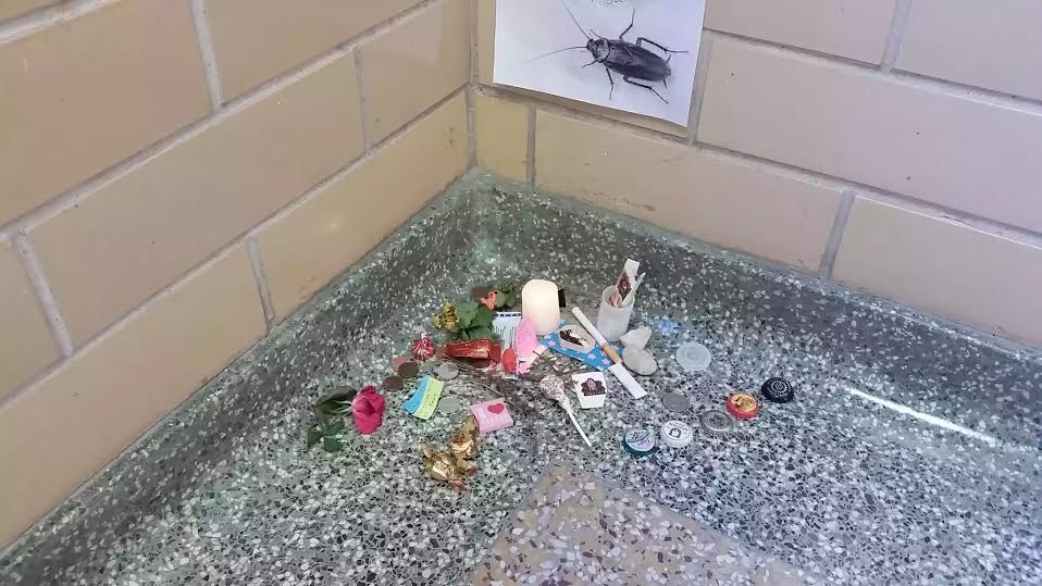 College students hold grand funeral for dead cockroach (photos)