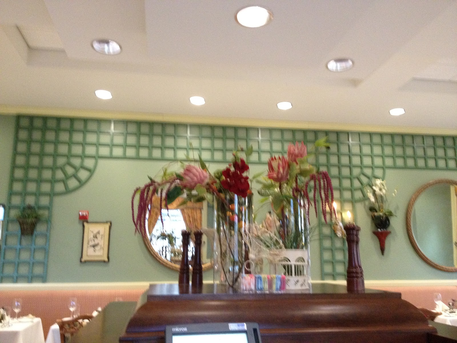 Nick & Natalie's Infinite Food List Parrot Cage