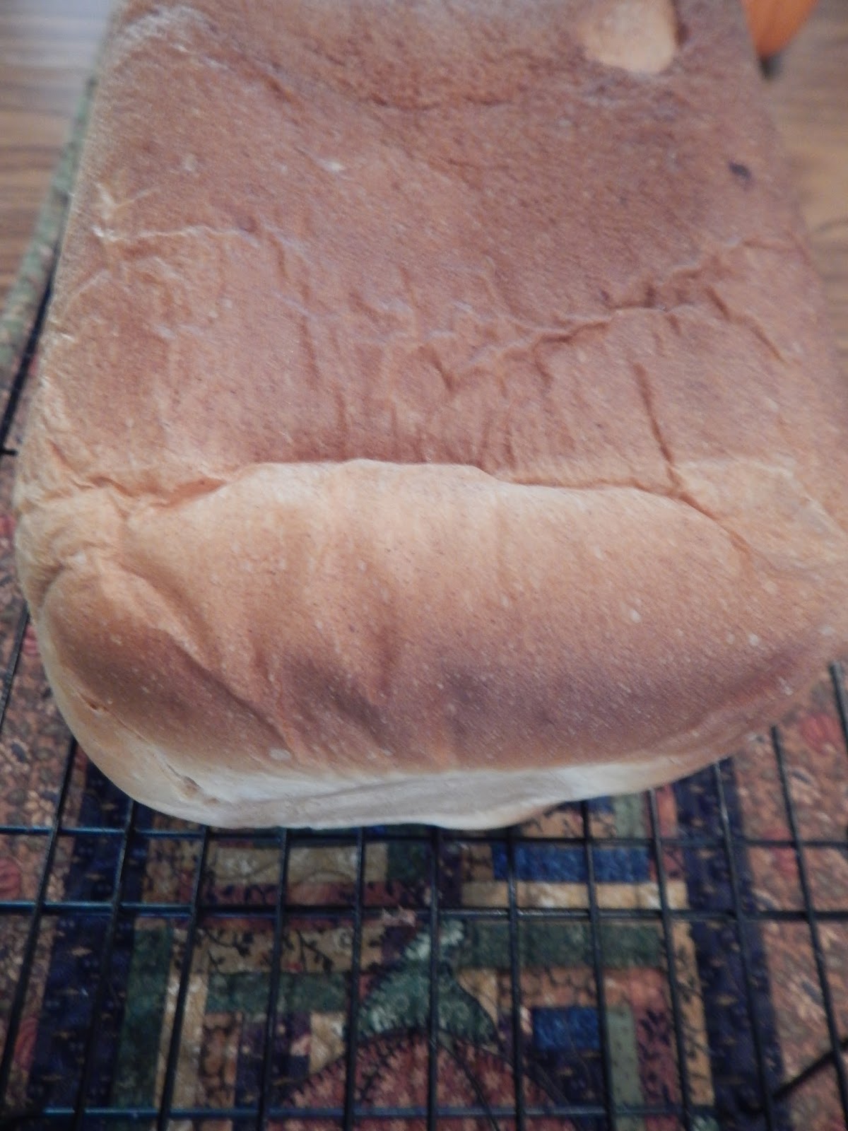 Holiday Gift Guide 2015 SKG Bread Maker Ramblings of a Coffee